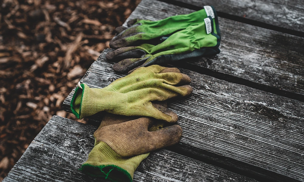 Gartenhandschuhe: So schützen Sie Ihre Hände bei der Gartenarbeit